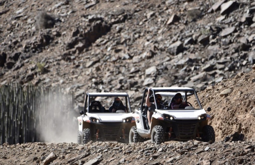 buggy 11