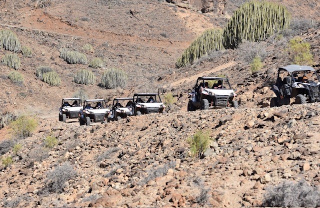 buggy 12