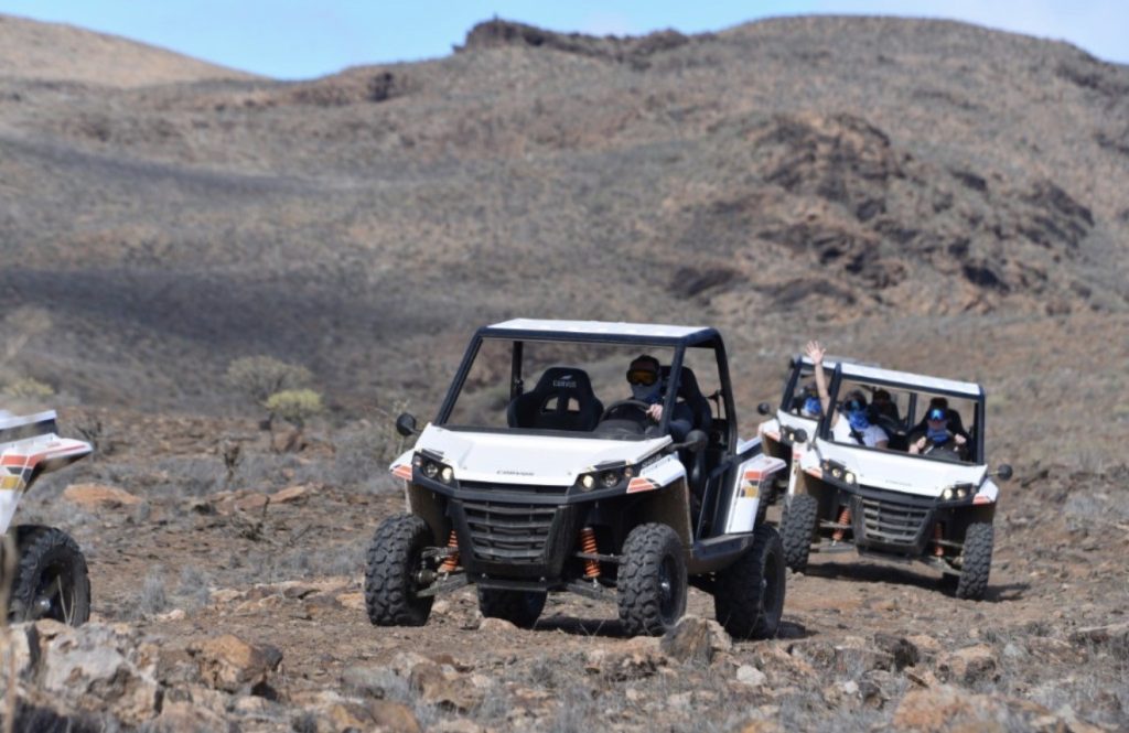 buggy 8