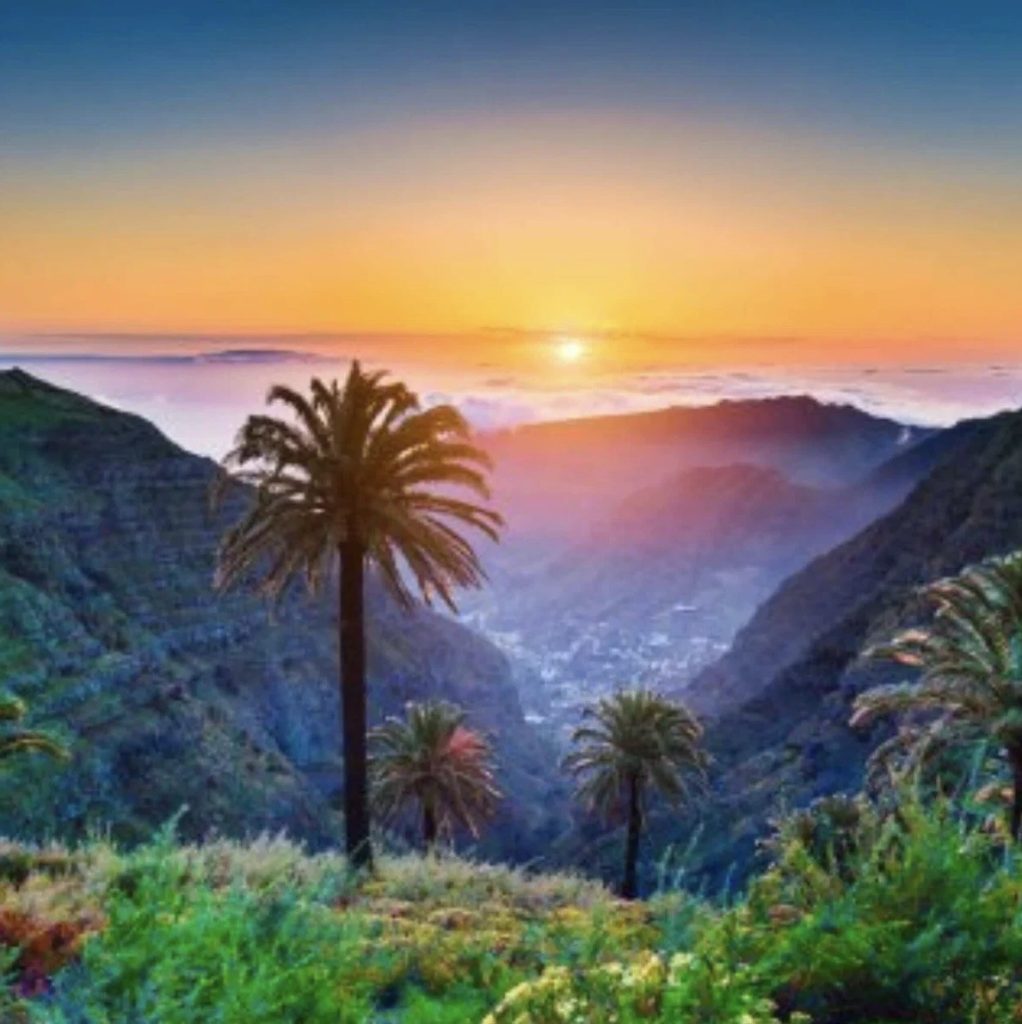 jeep 17