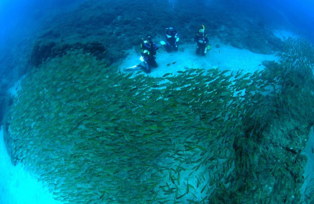 Beginner scuba diving in Gran Canaria with a professional instructor