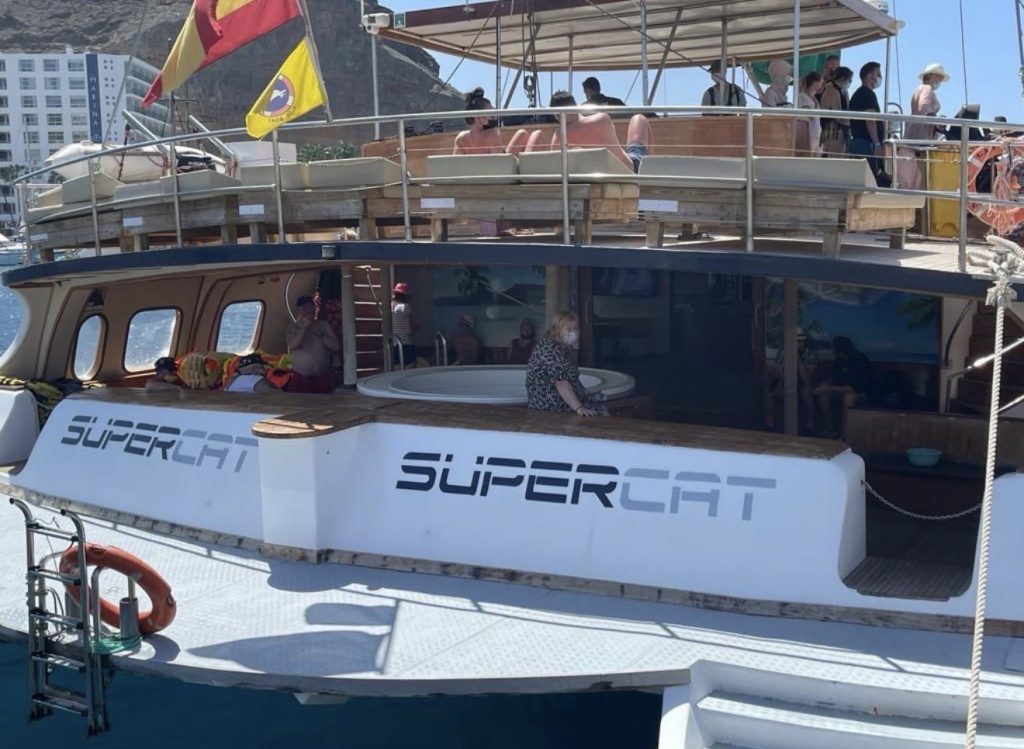 delfines 12