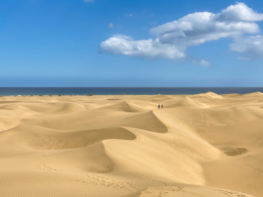 aerial view of the dunes and beach of maspalomas, canary islands