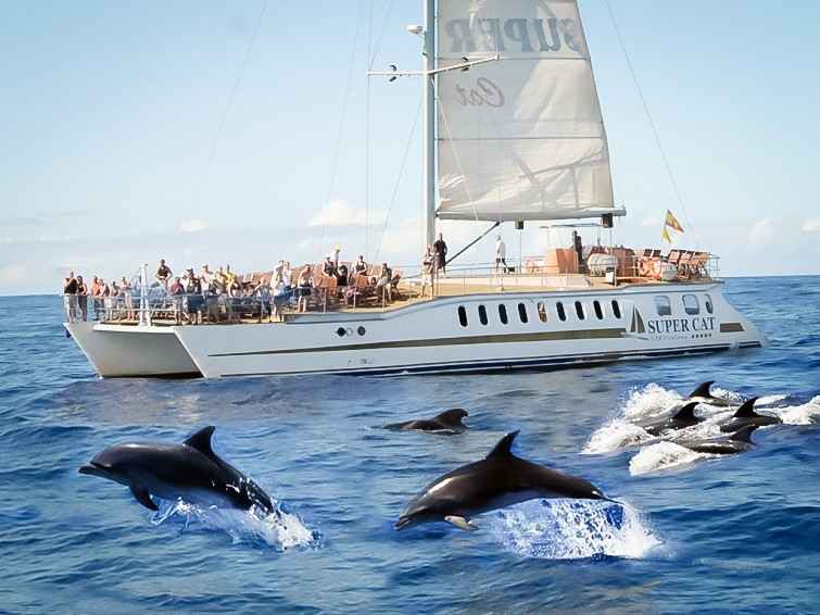 Catamaran Cruise Gran Canaria | #1 4 - Hour All - Inclusive Experience