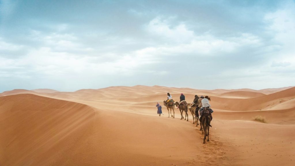 Visitors enjoying a camel safari experience