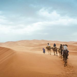 Visitors enjoying a camel safari experience